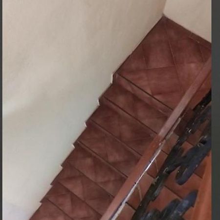 Casa Del Parque Rotario 호텔 칸쿤 외부 사진
